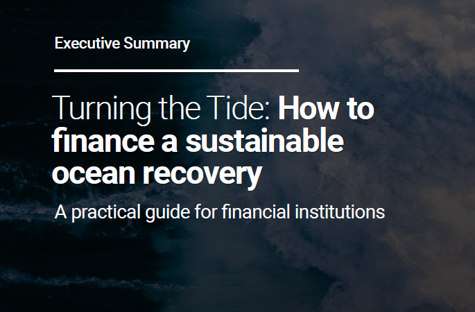 Turning the Tide: How to finance a sustainable ocean recovery