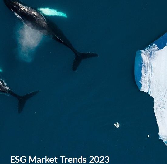 ESG Market Trends 2023